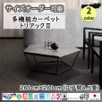 画像1: 東リ  日本製　多機能カーペット 【トリアック2　4.5畳】ラグ/抗菌/防炎/防ダニ/子供/ペット/絨毯/静電/カーペット(ホットカーペット/床暖房/春夏秋冬用/オールシーズン/じゅうたん/ラグ/遊び毛無し ★送料無料（北海道沖縄離島除く） (1)