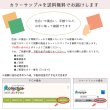 画像11: 【送料無料】東リ 洗える 横ズレしない 置くだけ ずれない ペット対応 タイルカーペット ファブリックフロア スクエア2400 FF2400 ソワレ 50cm 防汚 防ダニ  床暖 手洗いOK 日本製 (11)